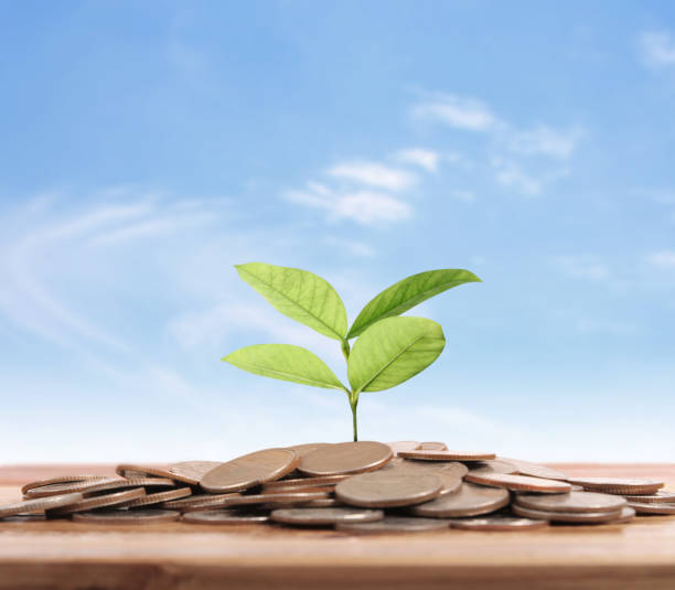 istock graph money coins stock finance 896148814