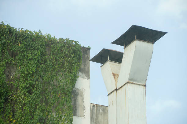 istock Ventilation with a wall full of grass. 896153584