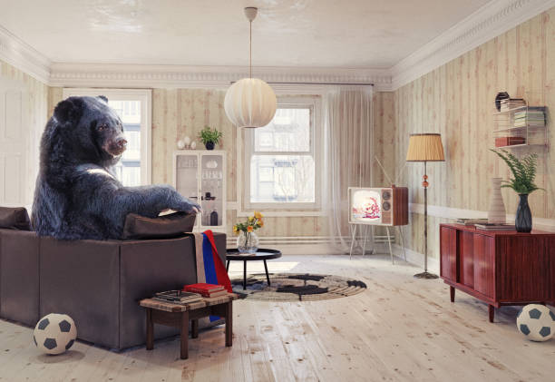 The Russian bear as the soccer fan