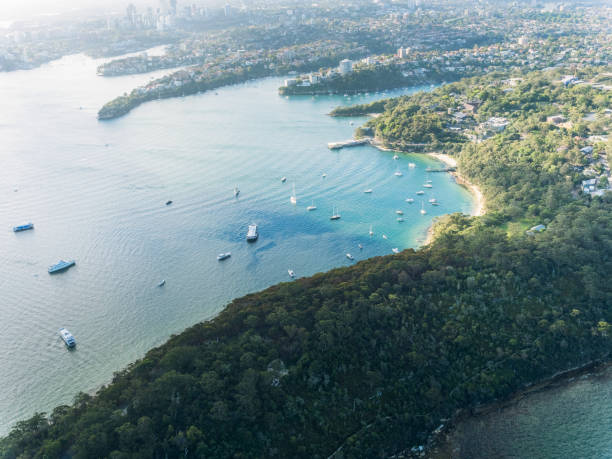 istock aerial view of Sydney 896158002