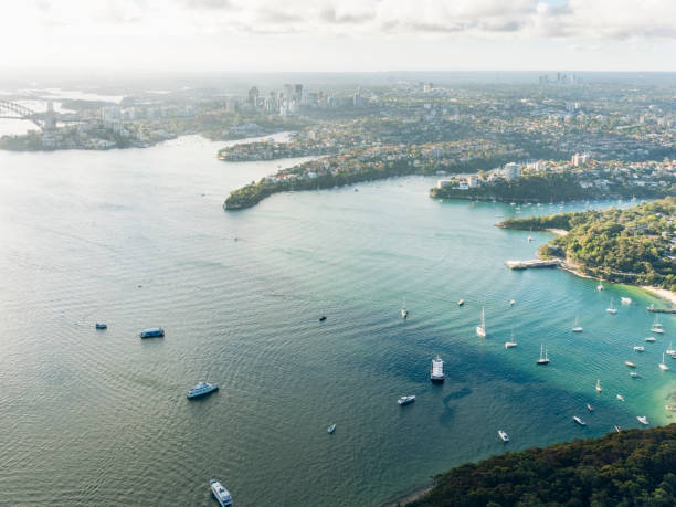 istock aerial view of Sydney 896158232
