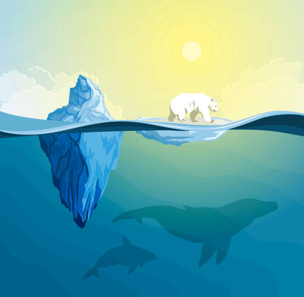 eisbär auf polar pol, globale erwärmung konzept - polar bear arctic global warming nature stock-grafiken, -clipart, -cartoons und -symbole