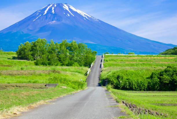 istock Road to the Fuji 896160990
