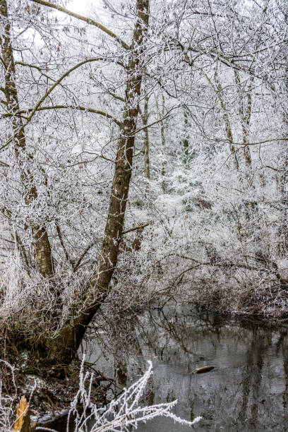 istock Icy morning on the countryside 896165494