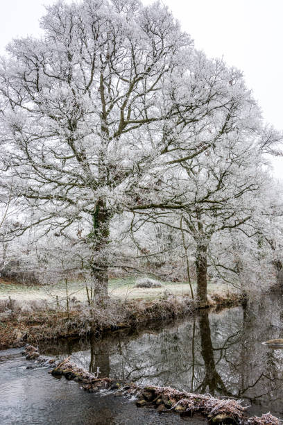 istock Icy morning on the countryside 896179814