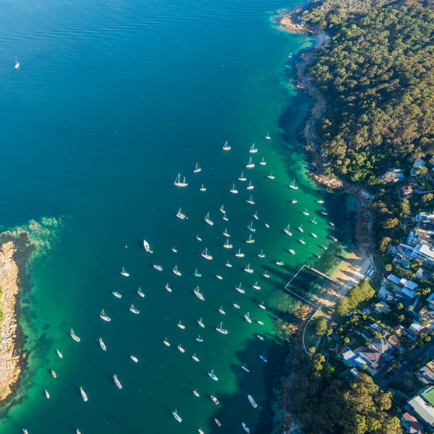 istock aerial view of Sydney 896183238
