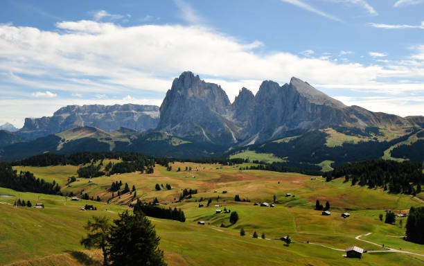 istock Alpe di Siusi, Dolomites, Trentino Alto Adige 896183784