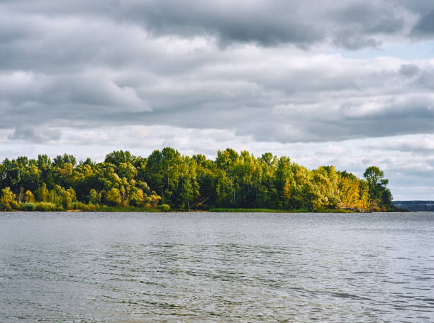 istock Autumn landscape, plant trees ripple surface water 896190012