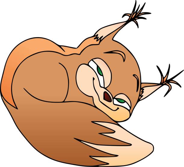 Funny squirrel, cunning person. Cartoon characters, isolated, emotions Funny squirrel, cunning person. Cartoon characters, isolated, emotions. background of the crazy squirrel stock illustrations