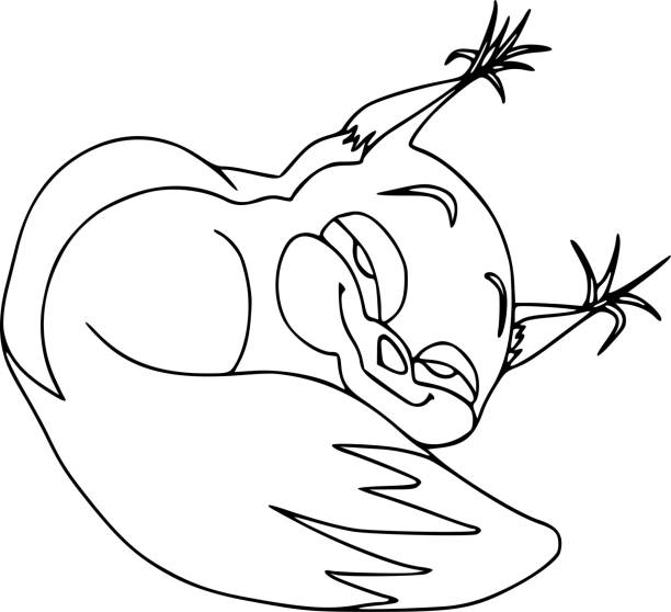 Funny squirrel, cunning person. Cartoon characters, isolated, emotions, coloring outline Funny squirrel, cunning person. Cartoon characters, isolated, emotions, coloring outline. background of the crazy squirrel stock illustrations