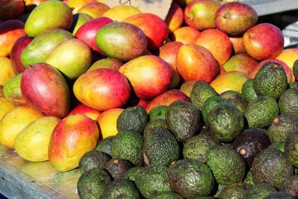 mangos y aguacates en un puesto de mercado - group of objects avocado green brown fotografías e imágenes de stock