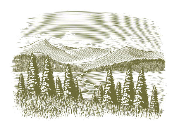 Woodcut Vintage Wilderness vector art illustration