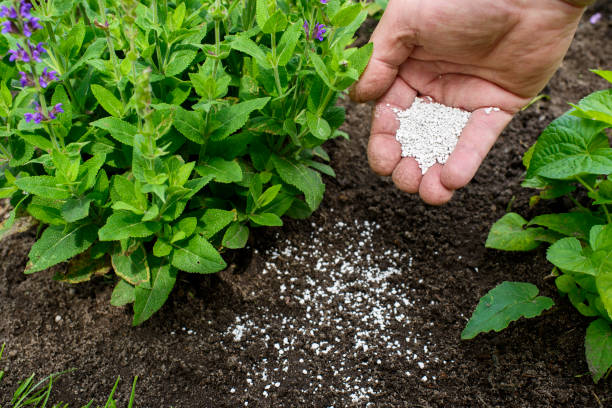 Fertilizer for the garden Fertilizer for the garden - garden lime Fertilizer for the garden - garden lime plant fertilizer stock pictures, royalty-free photos & images