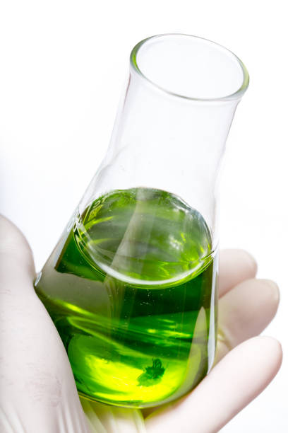 istock A flask for chemical analyzes with a violet liquid in hand 896212678