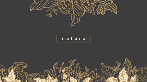 Modern template with design organic plant Modern template with white and gold art line design organic food on black background. Symbol nature card of coffee with realistic bean and flower. Vintage style. Vector bouquet illustration. Copy space frame outline silhouette stock illustrations