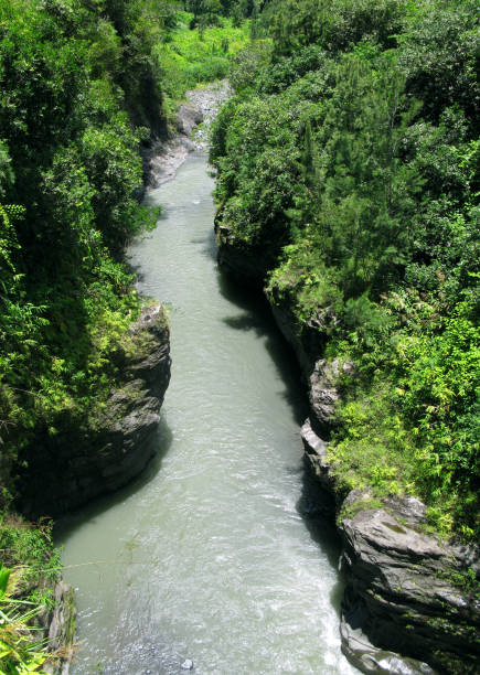 istock Reunion: The River of the Mast 896217236