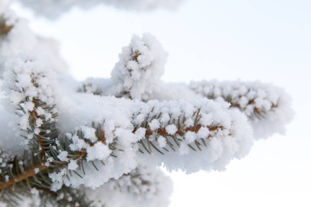 istock Frosty morning in the city. 896217446
