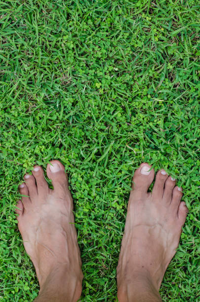 istock Feet On Field of Lawn 896221648