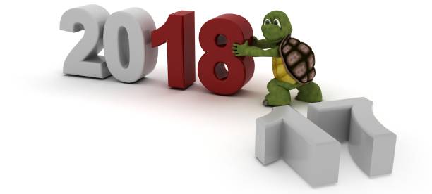 istock Turtle bringing in the new year 896224354