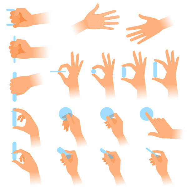Various gestures of human hands with objects. Flat vector illustration. The gestures of human hands with objects. Flat illustration set of various postures hands holding blanks in a different situations. Vector design elements isolated on white background. hand sign illustrations stock illustrations
