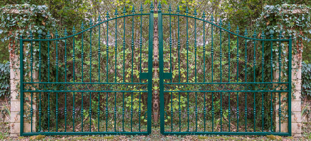 красивые зеленые ворота - handroll стоковые фото и изображения