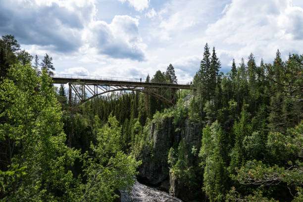 istock Creek with crossing railroad bridge 896243930