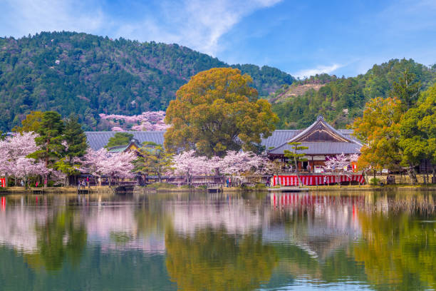 Daikaku-ji Temple Daikaku-ji Temple at Arashiyama, Kyoto, Japan shingon buddhism stock pictures, royalty-free photos & images