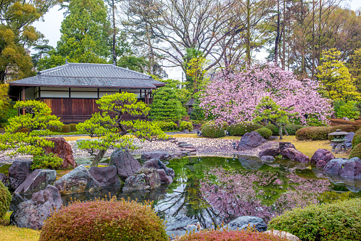 Ninomaru Garden in Nijo Castle in Kyoto, Japan