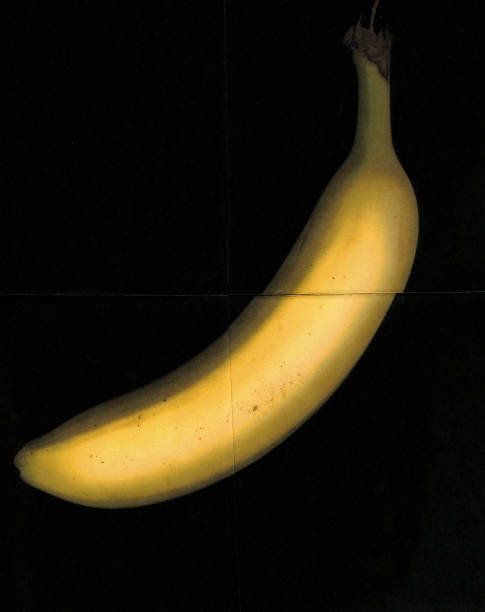 квартальный банан - quartered стоковые фото и изображения