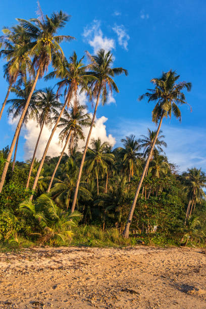 istock Beautiful sunset  in El Nido, Palawan island, Philippines 896259238