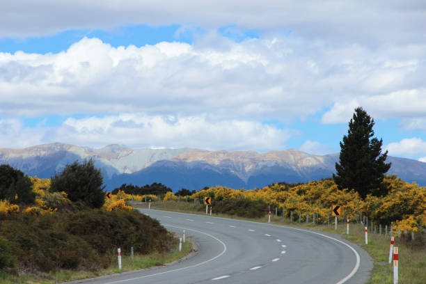 istock Asphalt road in New Zealand 896259558