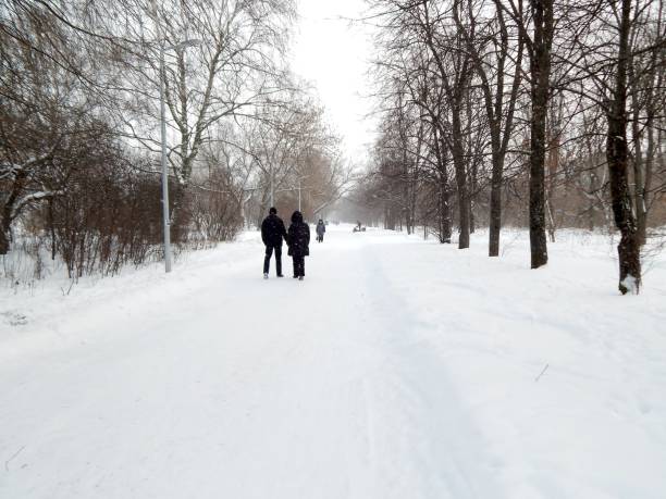 istock city winter park, snow, cold 896262834