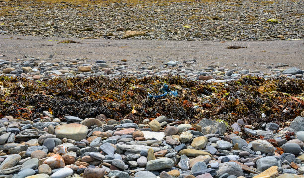 istock Rocky shorelline on the Wild Atlantic Way 896263094