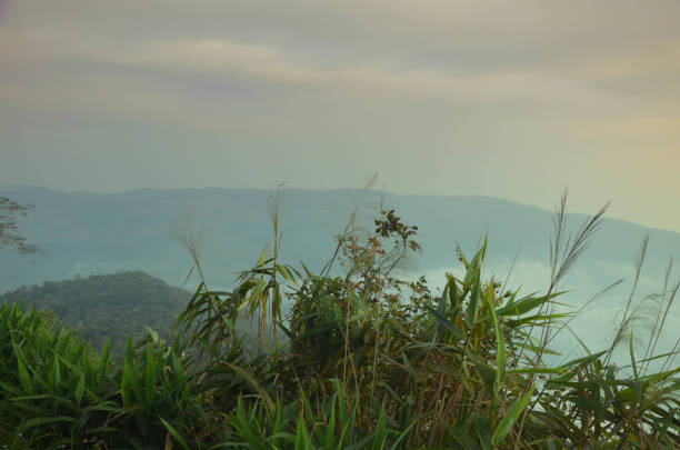 istock Phurua nation part,Mountain Thailand. 896267716