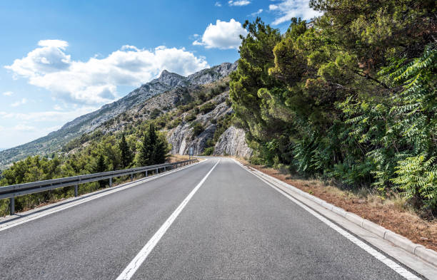 istock Country road through the rocky mountains and forest 896267764
