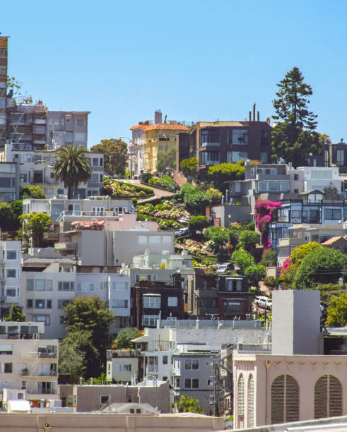 istock San Francisco in California 896267870