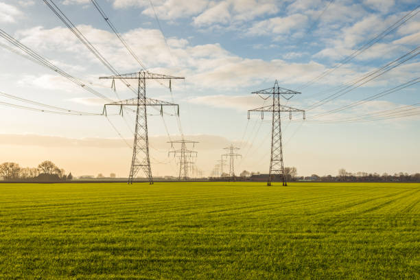 two converging high-voltage lines in a rural area - polder field meadow landscape imagens e fotografias de stock
