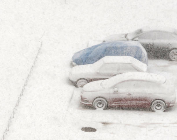 Cars covered with snow.