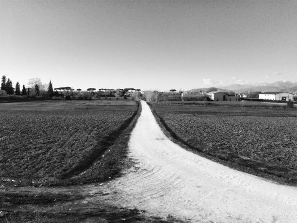 istock Black and white footpath in the countryside 896274582