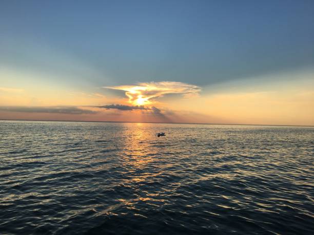istock Pelican flying as the sun sets 896274620