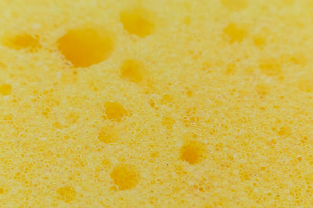 istock the texture of the sponge 896277448