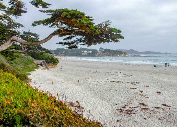 istock idyllic coastal scenery in California 896277914