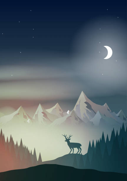 Night in Mountains with Stag on Hill Top Pine Forest Landscape - Vector Illustration vector art illustration