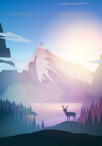 istock Sunset or Dawn Over Mountains with Stag on Hill Top Pine Forest Landscape - Vector Illustration 896283294