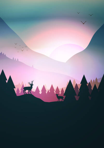 Sunset or Dawn Over Mountains with Stag on Hill Top Pine Forest Landscape - Vector Illustration vector art illustration