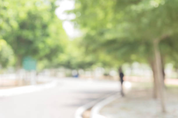 istock Blurred road in the park / Abstract blur city park bokeh background. 896288908