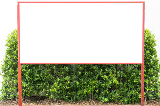 Blank billboard on green grass in park