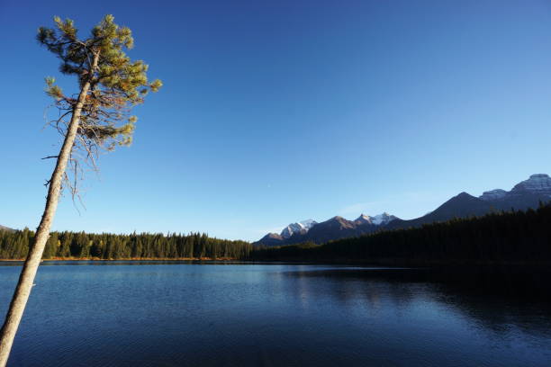 Break in the Canadian Rockies stock photo