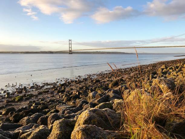 humber 강어귀와 다리 - humber bridge bridge humber river yorkshire 뉴스 사진 이미지