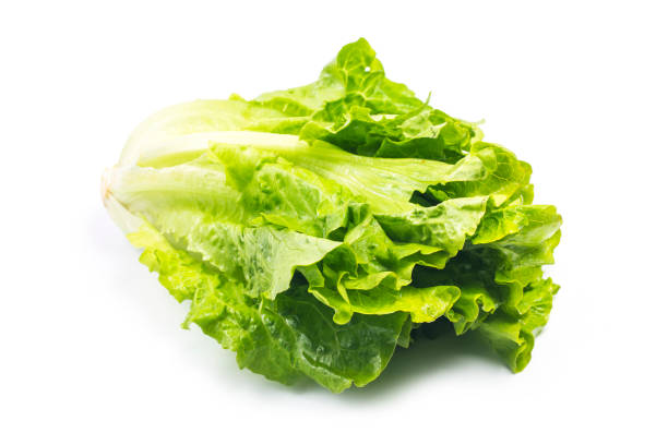 istock fresh green lettuce leaves isolated on white 896299020